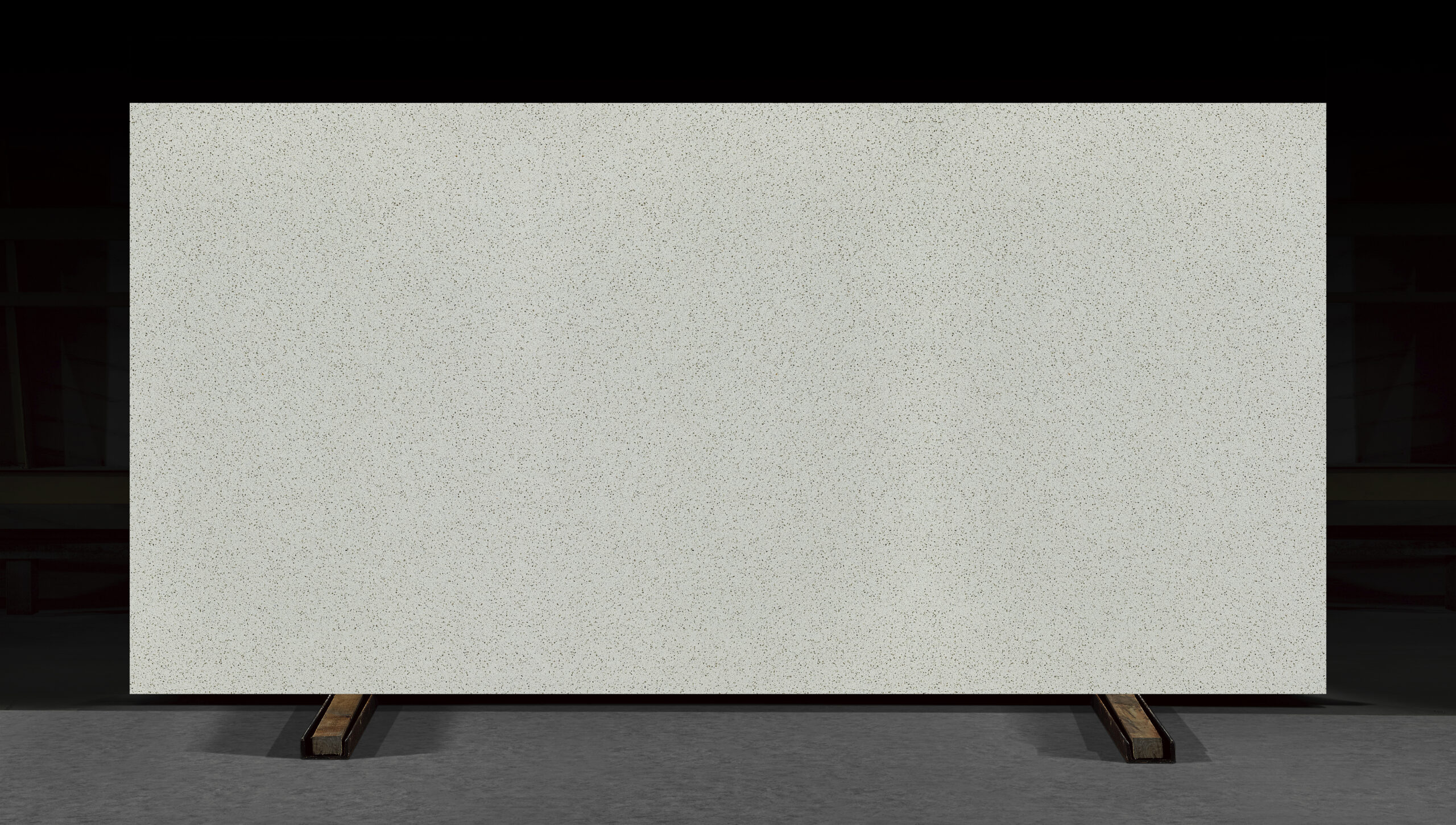 大176975 白桦林 副本 scaled